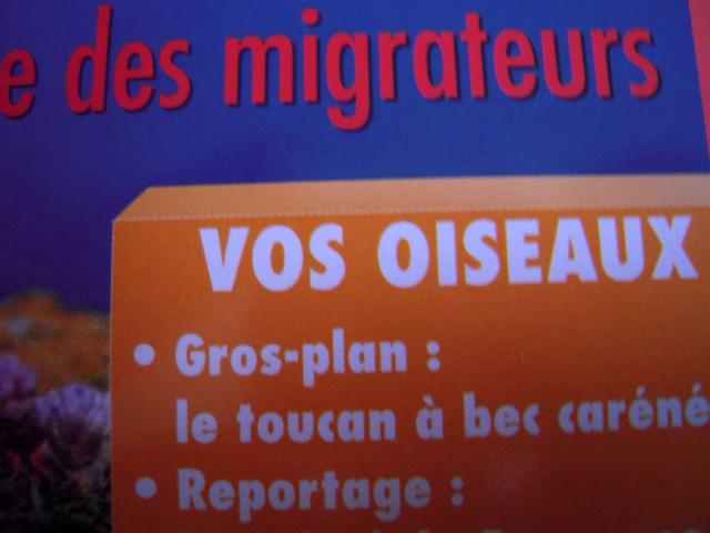 Photo 2 revues très spécialisées OISEAUX EXOTIQUES  documentant en partie : LES TOUCANS .. image 2/3