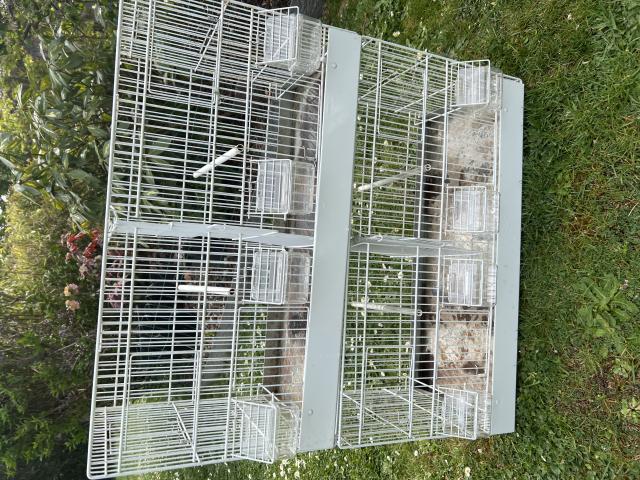 Photo 4 cages élevages canaris image 2/4