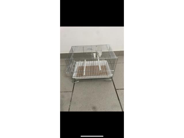 Photo 6 cages de chant Donus comme neuf image 2/6