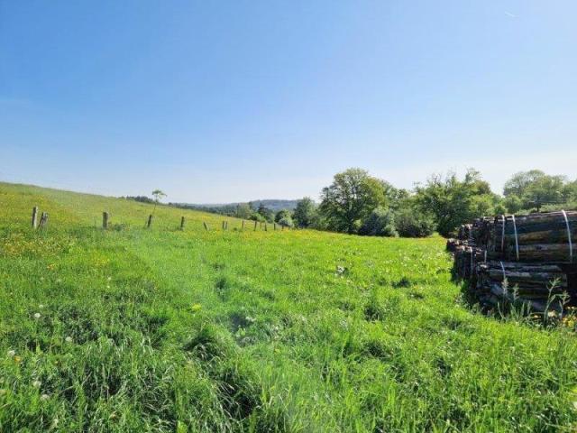 Photo 6830 Les Hayons - Bouillon : superbe terrain de 1Ha 44a 66ca. image 2/4