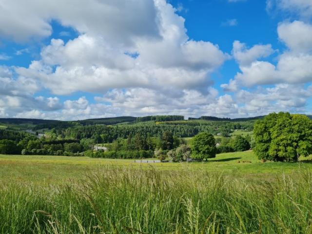 Photo 6970 Ortheuville : terrain à batir, 11a 72ca, belle vue. image 2/3