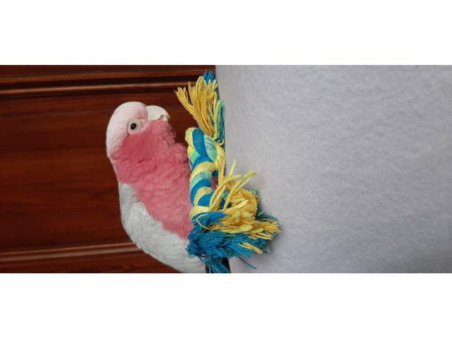 Photo 850 image 2/3