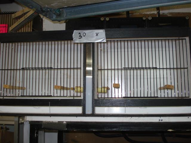 Photo A vendre 1 lot de petites cages image 2/6