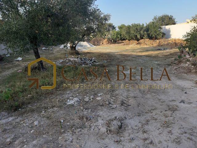 Photo A vendre a Akouda un terrain image 2/3