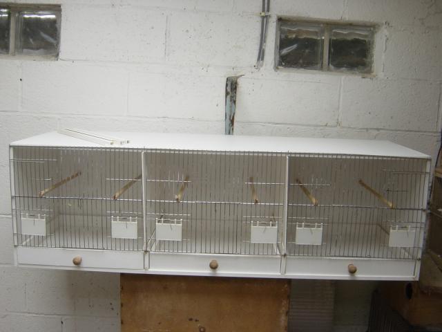Photo A vendre cages en FOREX image 2/5