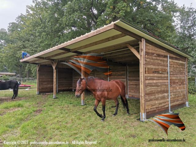 Photo Abris pour chevaux, auvents, Abris couverts pour chevaux TOP Abri image 2/6