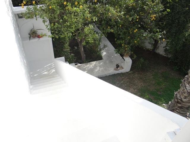 Photo APPARTEMENT FELLA Hammamet - Zone Sindbed  AL2790 image 2/6