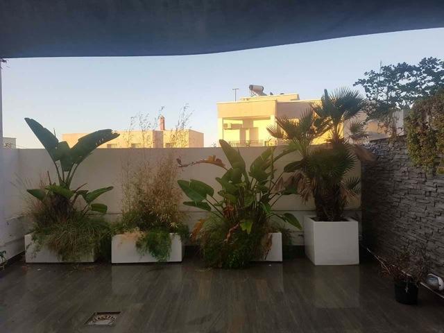 Photo appartement rosette AL1830 ariana tunis image 2/6
