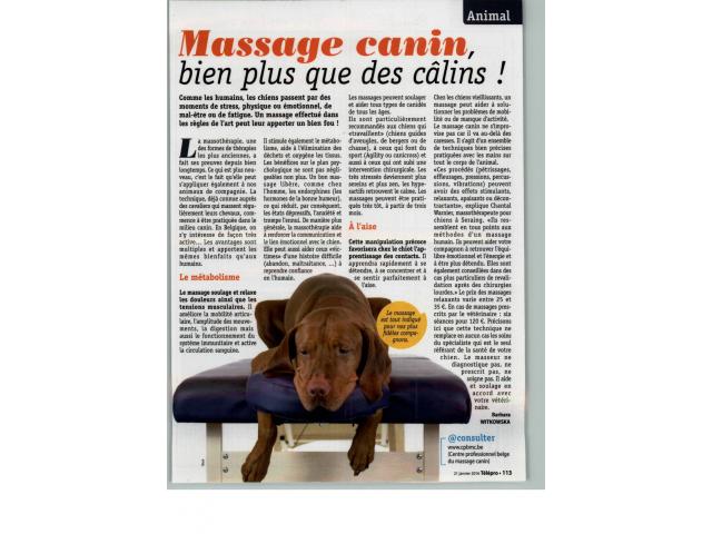 Photo Apprenez le massage canin image 2/3