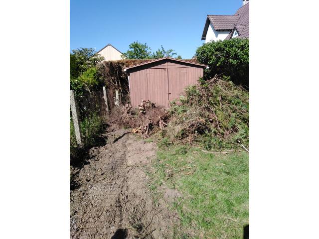 Photo Arrache souche location image 2/6