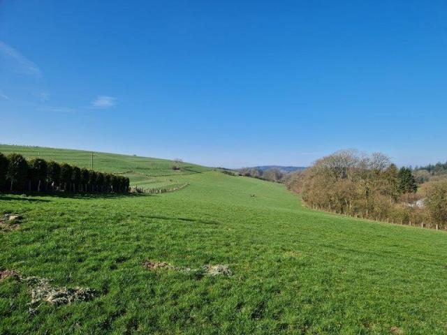 Photo AUBY-SUR-SEMOIS : Ensemble de terrains, 4ha 32a 33ca. image 2/6