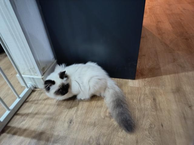 Photo audecollet007@gmail.com image 2/3