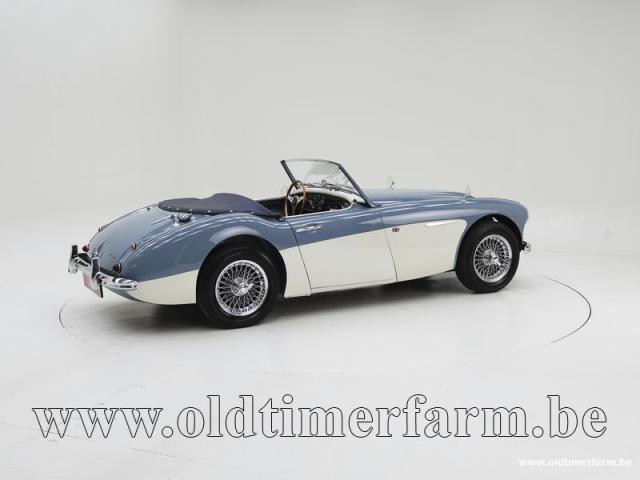 Photo Austin Healey 100/6 BN4 '59 CH4084 image 2/6