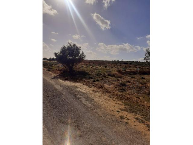 Photo av des lots de 400m a hammamet sud image 2/3