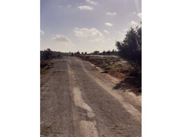 Photo av des lots de 400m a hammamet sud image 2/2