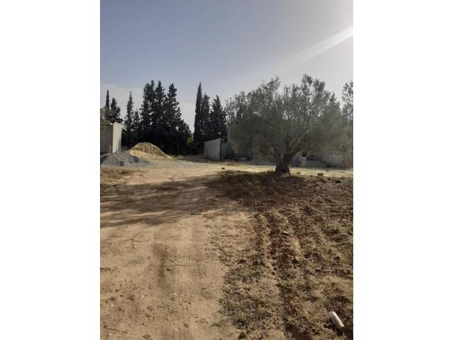 Photo av des lots de 691m a hammamet sud image 2/3