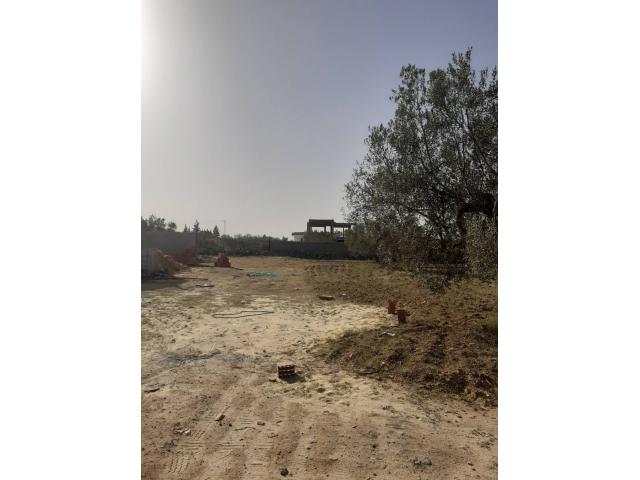 Photo av des lots de 691m a hammamet sud image 2/3