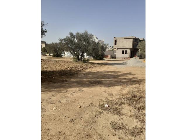 Photo av lots de 691m a sidi hammed hammamet image 2/3