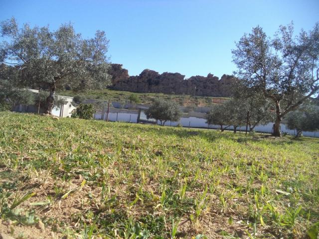 Photo av terrain 1030m² a hammamet monchar image 2/3