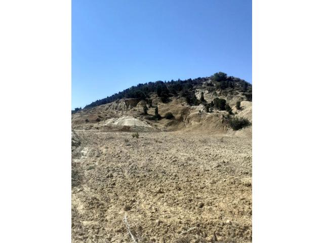 Photo av terrain 1300m² a ben wael hammamet image 2/3