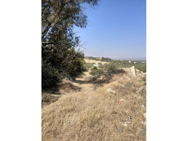 Photo av terrain 1456m² a hammamet image 2/3