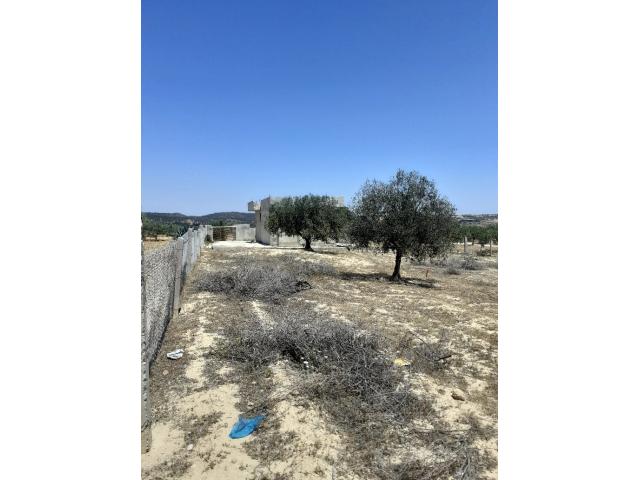 Photo av terrain de 135md a hammamet sud image 2/3