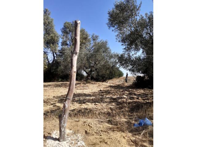 Photo av terrain de 1456m² a hammamet image 2/3