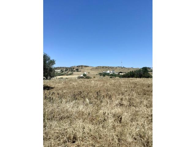 Photo av terrain de 3 hectares a hammamet image 2/2