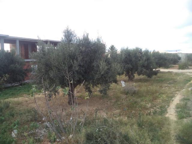 Photo av terrain de 408m² a hammamet sud image 2/2