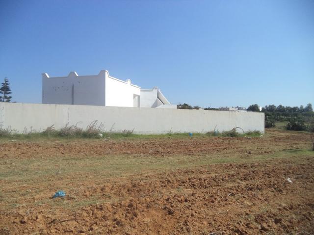 Photo av terrain de 500m a hammamet sud image 2/3