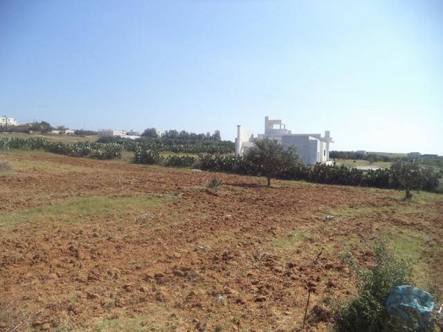 Photo av terrain de 500m a monchar hammamet sud image 2/3