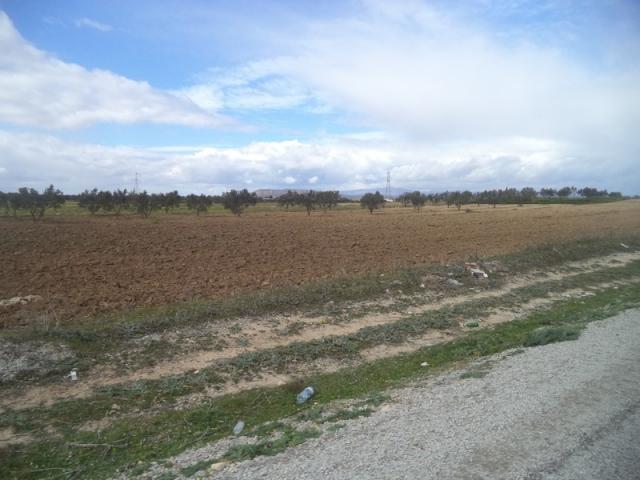 Photo av terrain de 9000m² a hammamet sud image 2/2