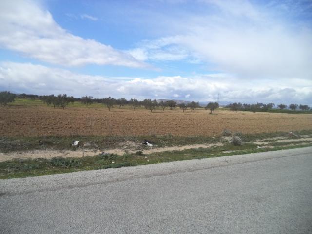 Photo av terrain de 9000m² a hammamet sud image 2/3