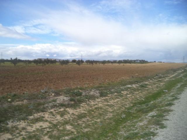Photo av terrain de 9000m² a hammamet sud image 2/3