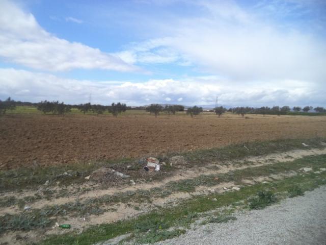 Photo av terrain de 9000m² a hammamet sud image 2/3