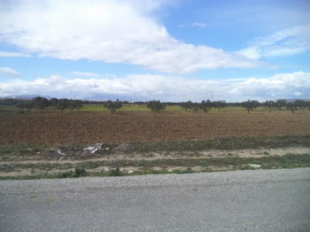 Photo av terrain de 9000m² a hammamet sud image 2/2