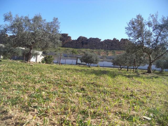 Photo Av un terrain de 1030m²  hammamet sud image 2/3