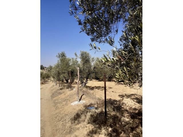 Photo av un terrain de 1456m² a hammamet image 2/2