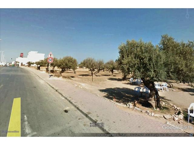 Photo av un terrain de 2774m² a hammamet nord image 2/2