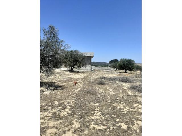 Photo av un terrain de 5350m² a  hammamet sud image 2/2