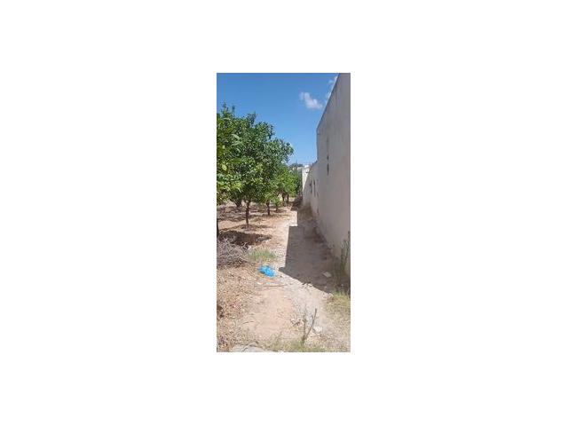 Photo av un terrain de 670m² a hammamet image 2/3