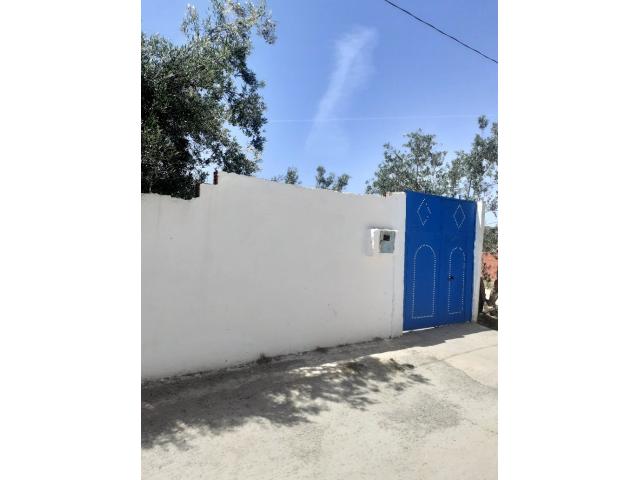 Photo av une maison 145md a hammamet sud image 2/4