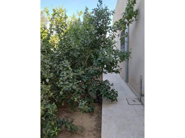 Photo av villa de 220md a hammamet image 2/3