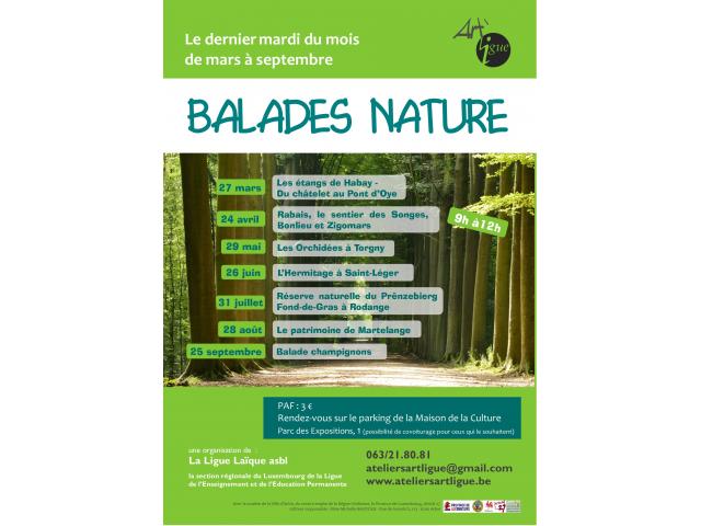 Photo Balades nature image 2/2
