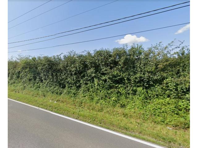 Photo Beauwelz - Momignies : beau terrain à bâtir, 10a 75ca. image 2/4