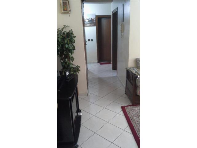 Photo BEL Appartement de 65m² ain borja image 2/5