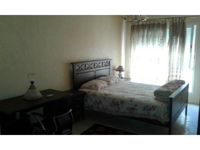 Photo Bel appartement en location image 2/6