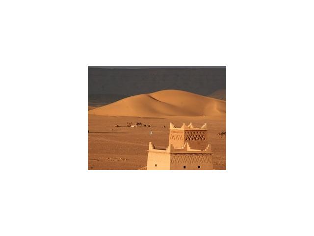 Photo Belle randonnée au désert du Maroc avec des dromadaires image 2/2