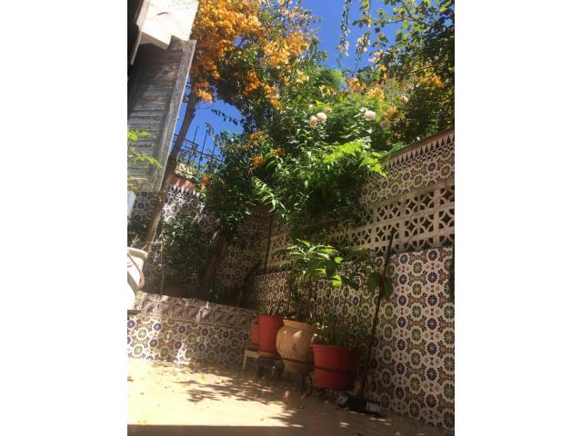Photo Belle Villa à Casablanca image 2/6