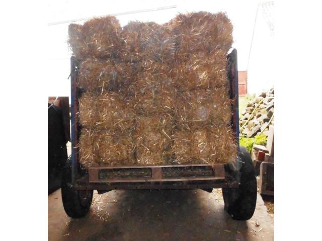 Photo Bétaillère image 2/2